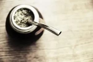 Yerba mate: dlaczego warto ją pić?