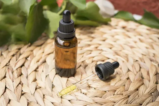 Olej CBD - co warto wiedzieć przed rozpoczęciem kuracji?